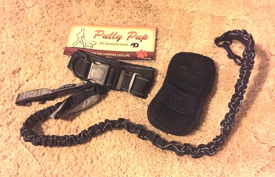 running with dogs - pully pup hands free running leash