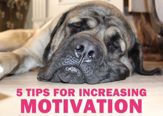 5 motivation tips