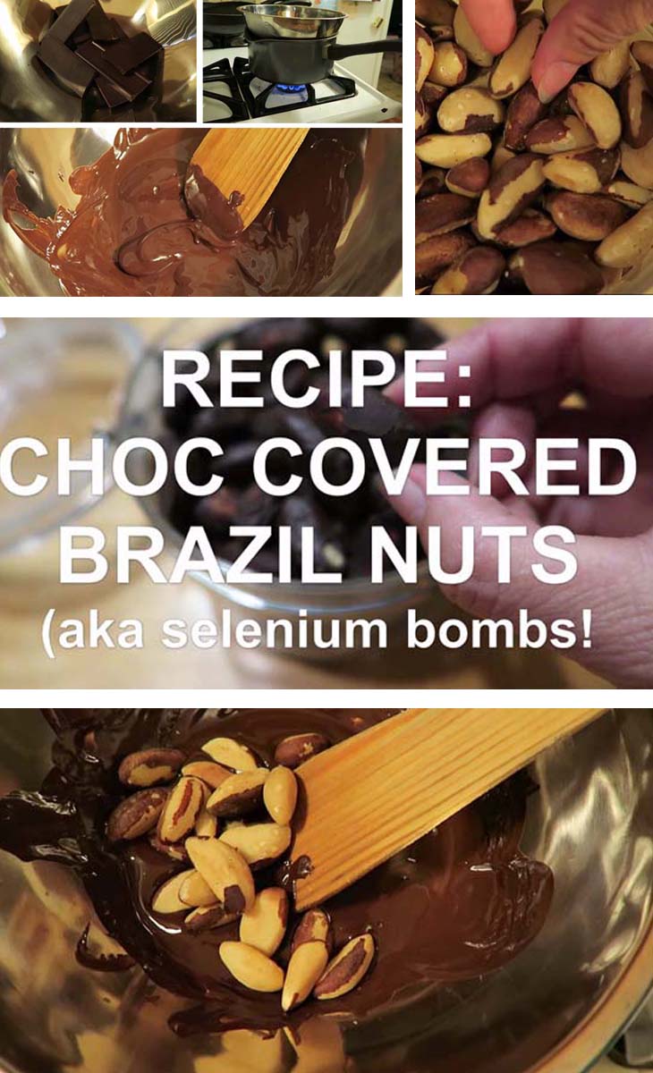 recipe - choc covered brazil nuts