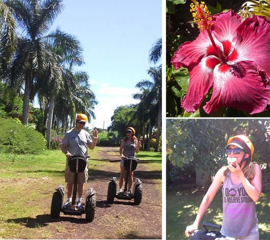 things to do on the big island of hawaii
