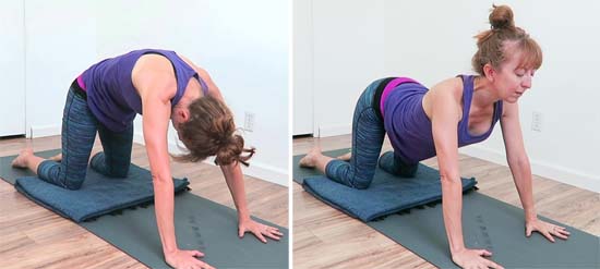 yoga teacher performing cat cow pose on all fours