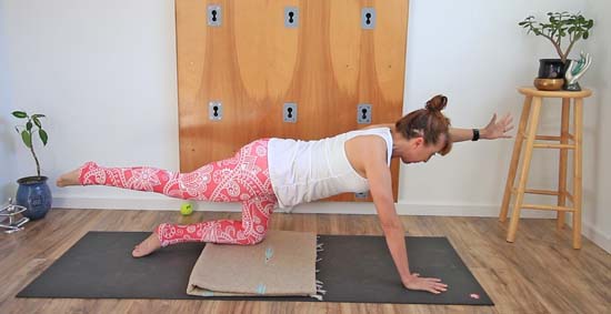 Yoga pose on all fours with opposite arm and leg extended