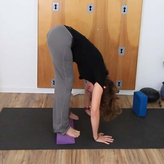 yoga teacher demonstrating forward fold with heels elevated