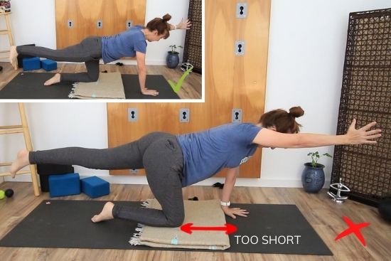 yoga teacher demonstrating bird dog with short vs longer base of support