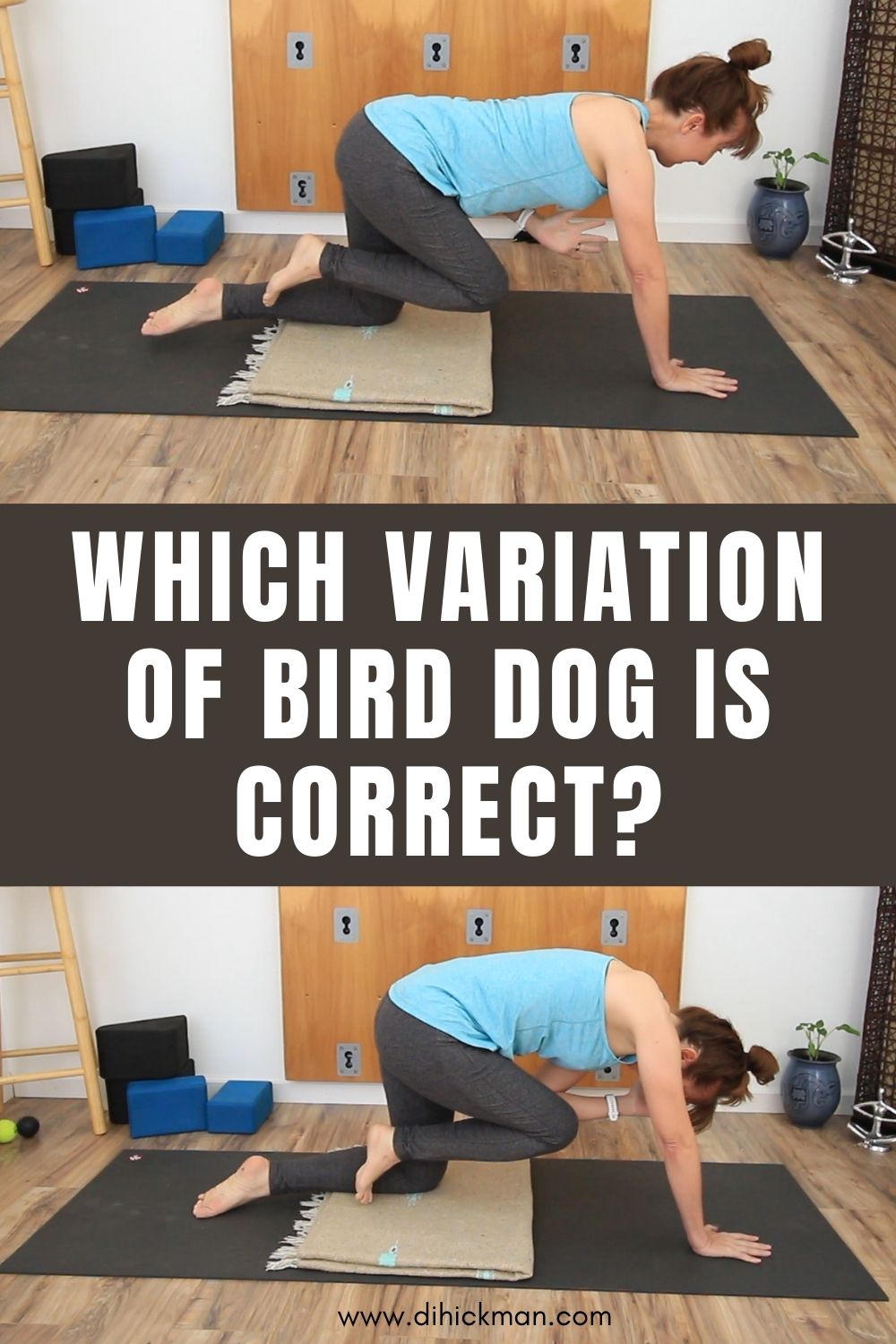 which variation of bird dog is correct?